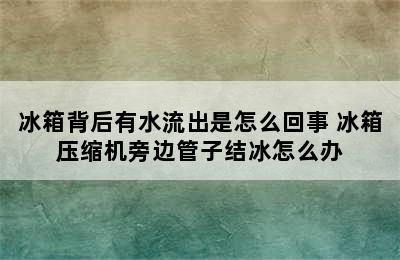 冰箱背后有水流出是怎么回事 冰箱压缩机旁边管子结冰怎么办